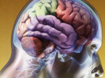 Investigación sobre dietas para nutrir el cerebro