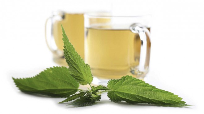 Como preparar Té de Ortiga verde y otros remedios